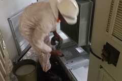 WhatsApp-Image-2025-09-22-at-12.35.57-AM